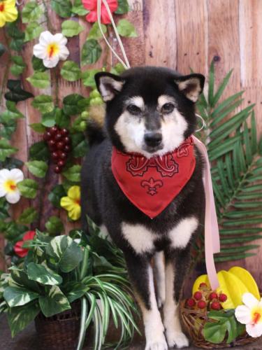 20230803ひめちゃん